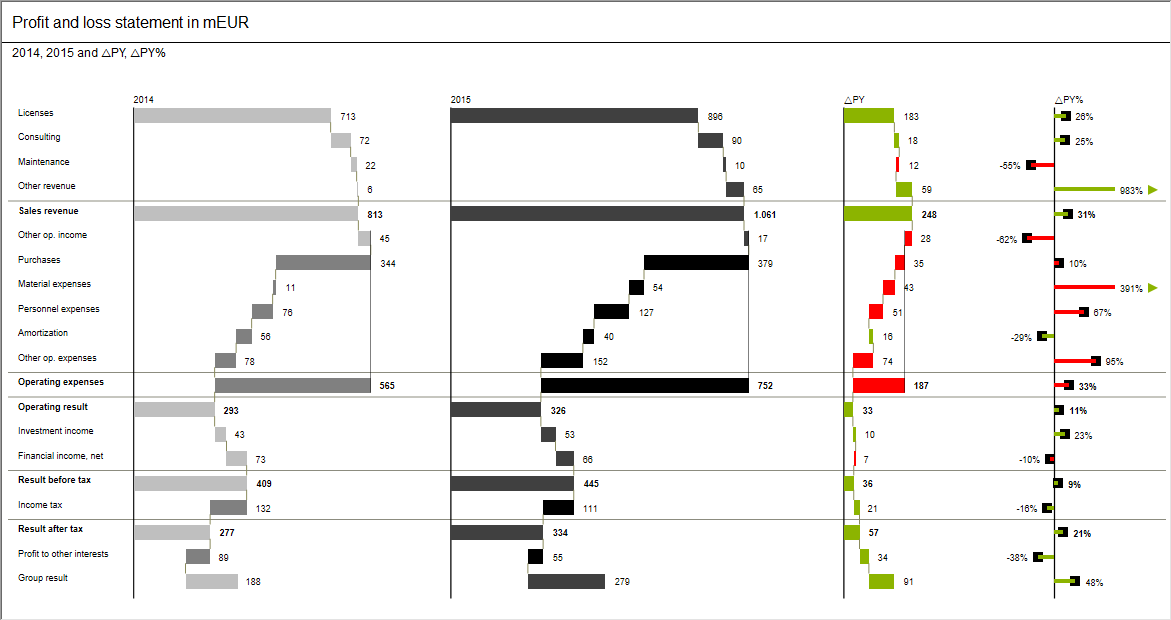 Profit and loss statement example
