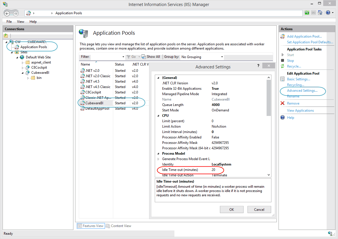 IIS Advanced Settings